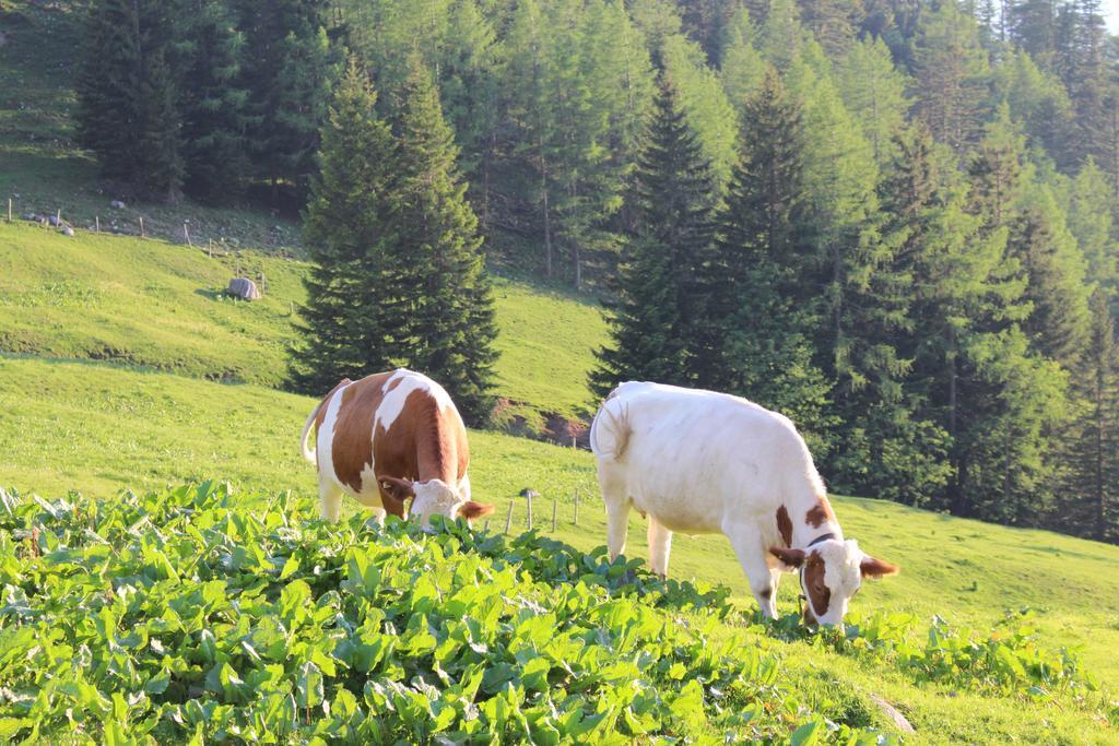 Salzburger Dolomitenhof อันนาแบร์ อิม ลัมเมอร์ทาล ภายนอก รูปภาพ