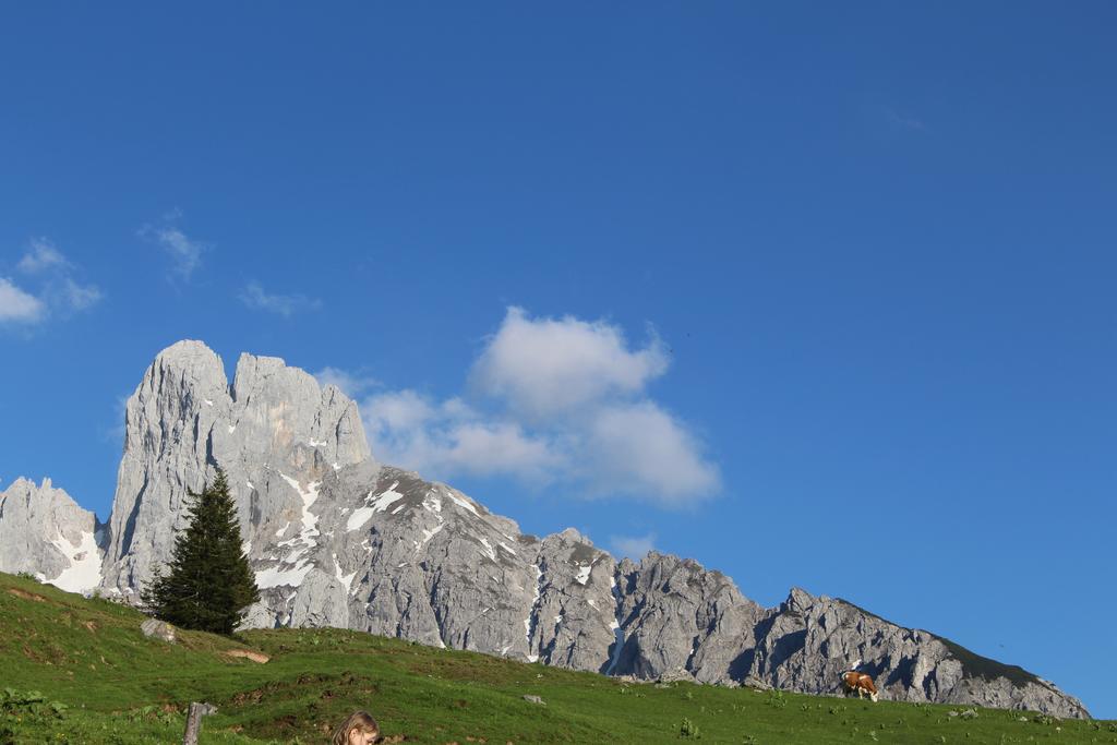 Salzburger Dolomitenhof อันนาแบร์ อิม ลัมเมอร์ทาล ภายนอก รูปภาพ