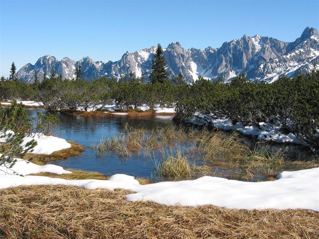 Salzburger Dolomitenhof อันนาแบร์ อิม ลัมเมอร์ทาล ภายนอก รูปภาพ